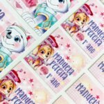 Etiquetas Escolares Patrulha Canina Menina - Arquivo Digital